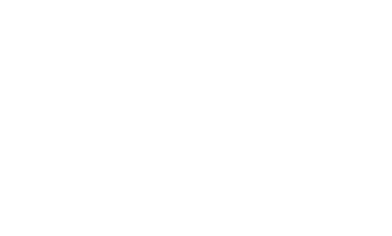 The Sanford Group - Logo 800 White